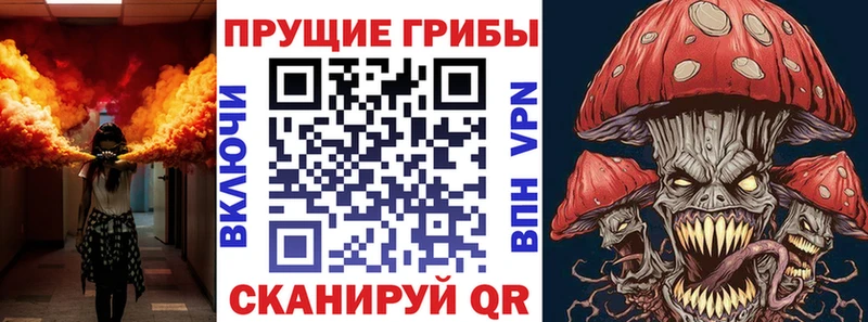 закладки Окуловка ОМГ ОМГ рабочий сайт Псилоцибиновые грибы Psilocybe